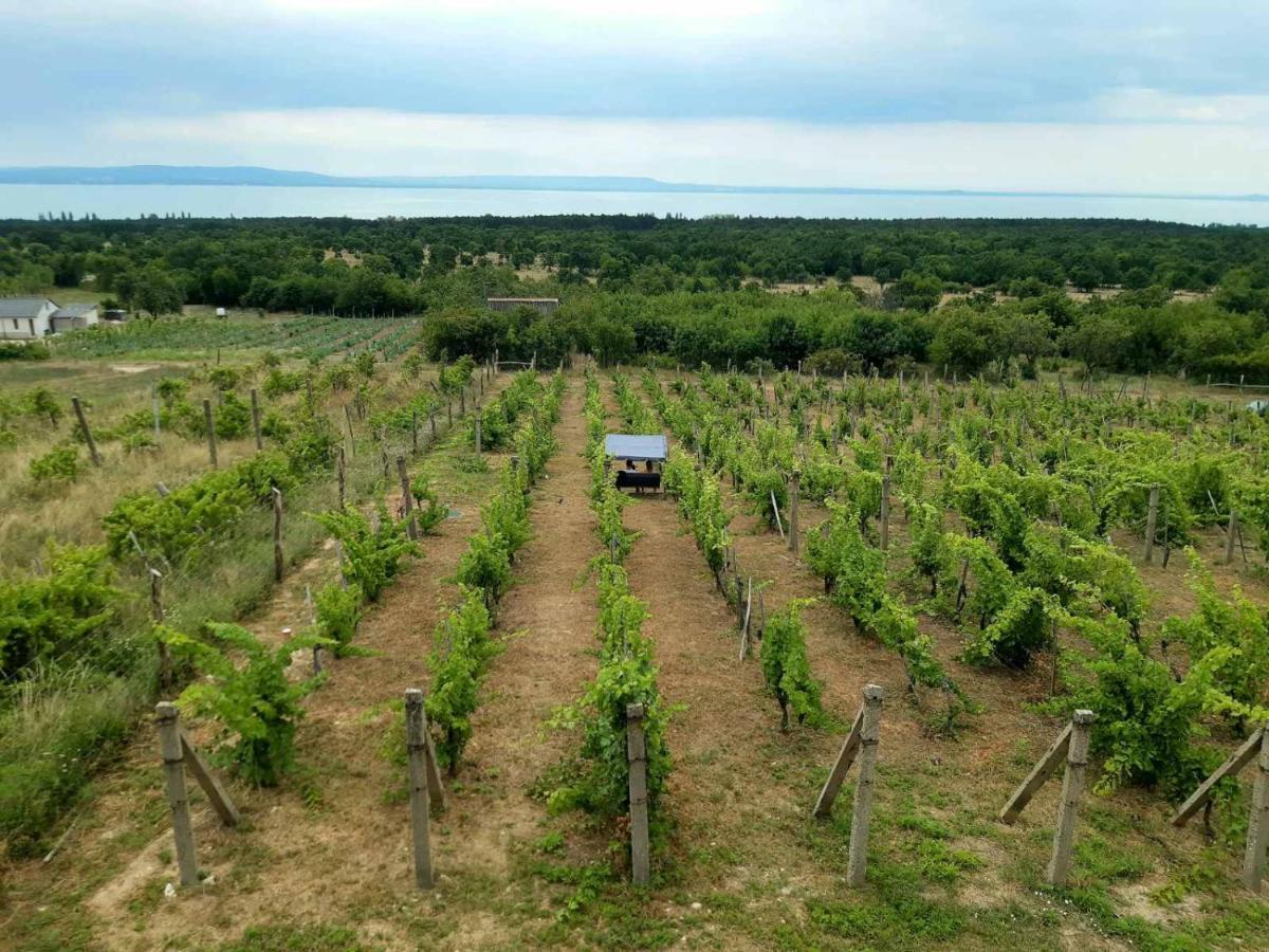 Napraszallas Vendeghaz Balatonakali Exterior foto