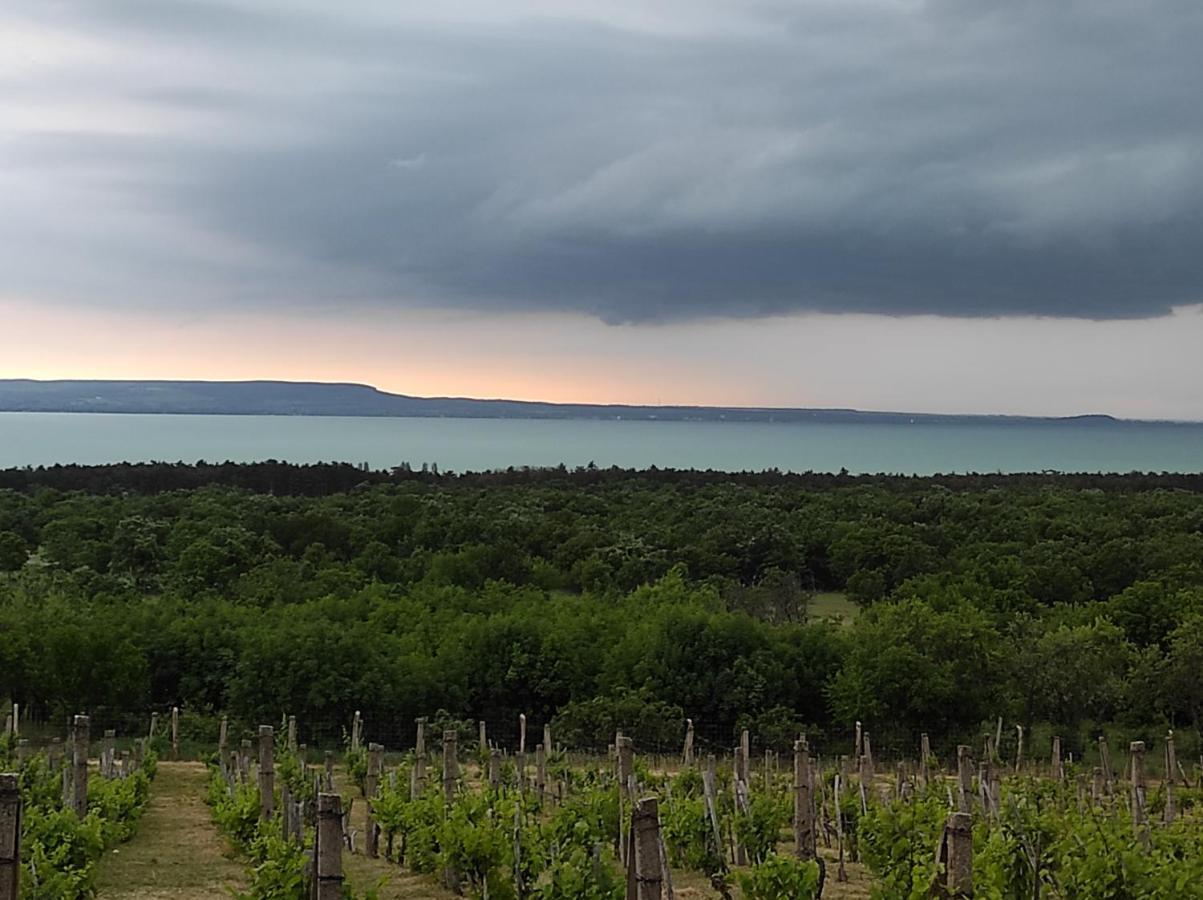 Napraszallas Vendeghaz Balatonakali Exterior foto