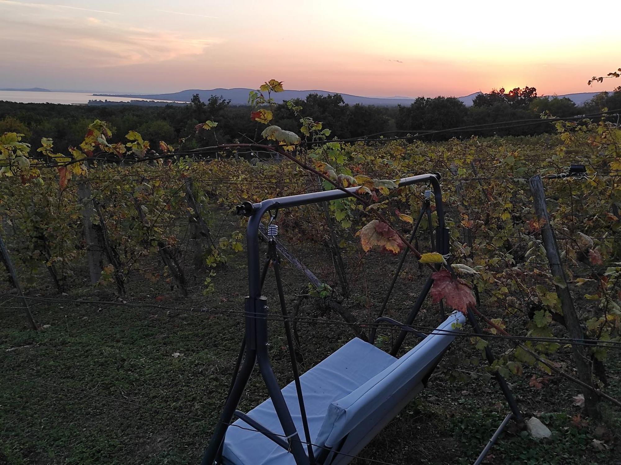 Napraszallas Vendeghaz Balatonakali Exterior foto